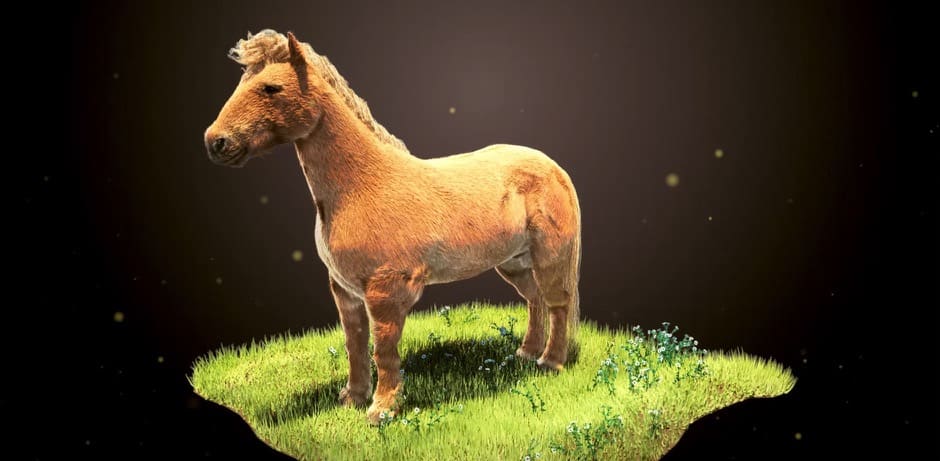 Modeling, Rendering & Compositing